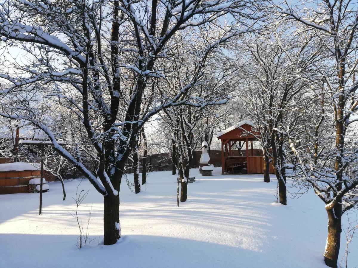 Drevenica Silvia Vila Liptovský Mikuláš Exterior foto
